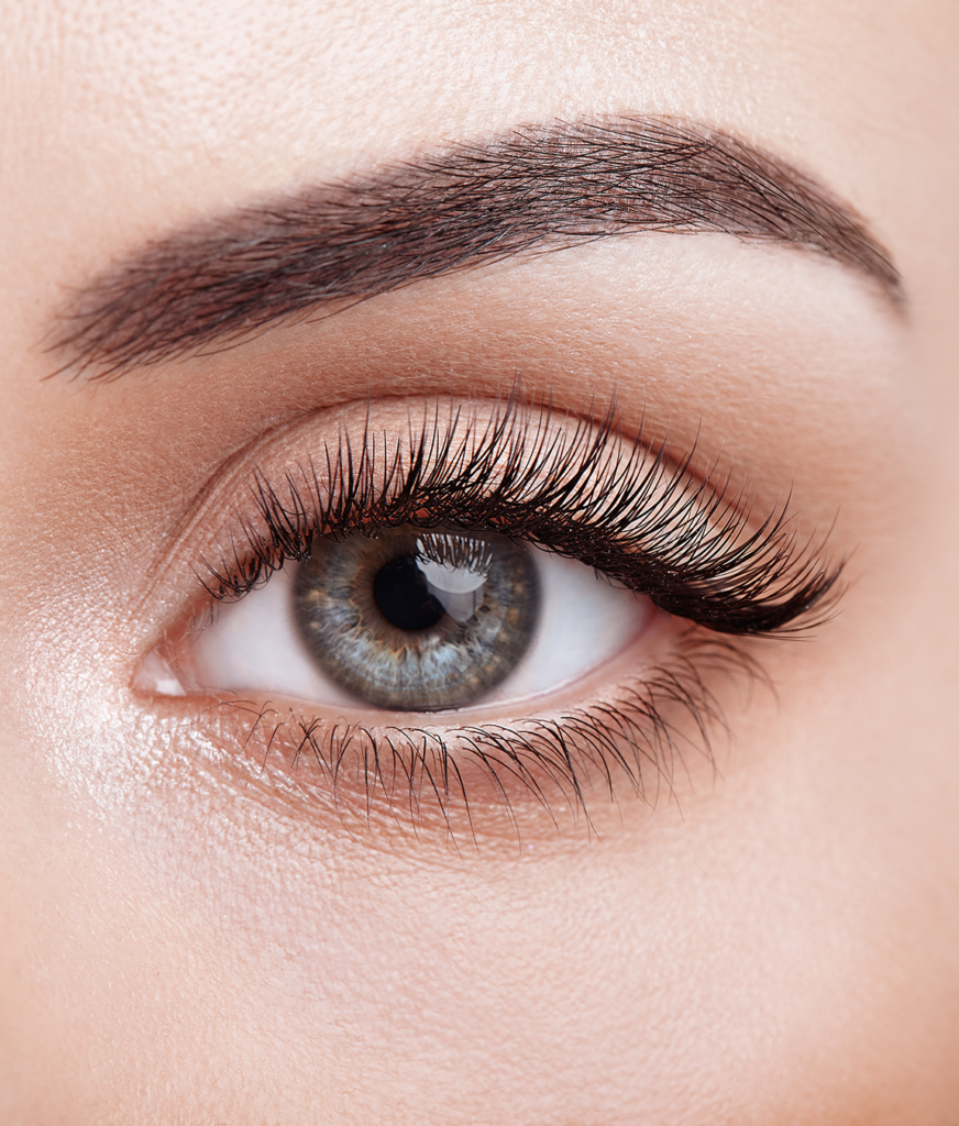 Close-up on a brow and eyelash after microblading